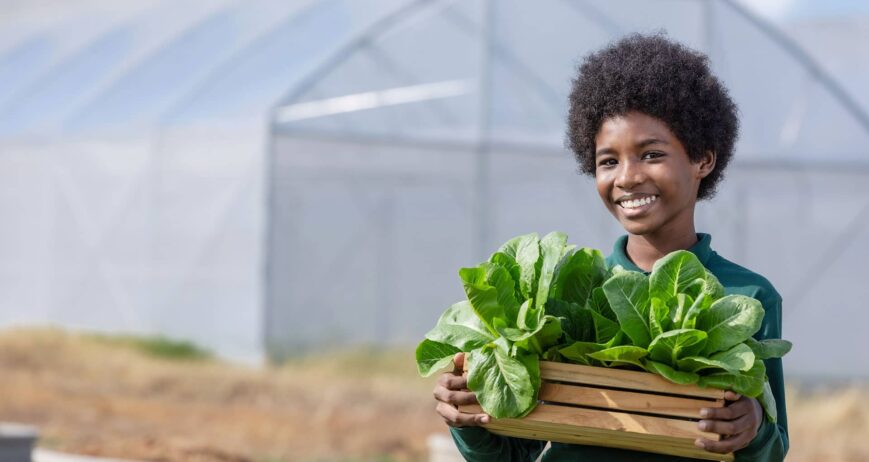 Agricultura Sustentável