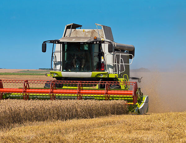 Importância dos quelatos na Agricultura