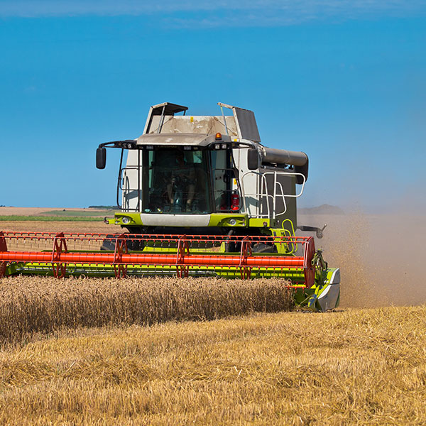 Importância dos quelatos na Agricultura