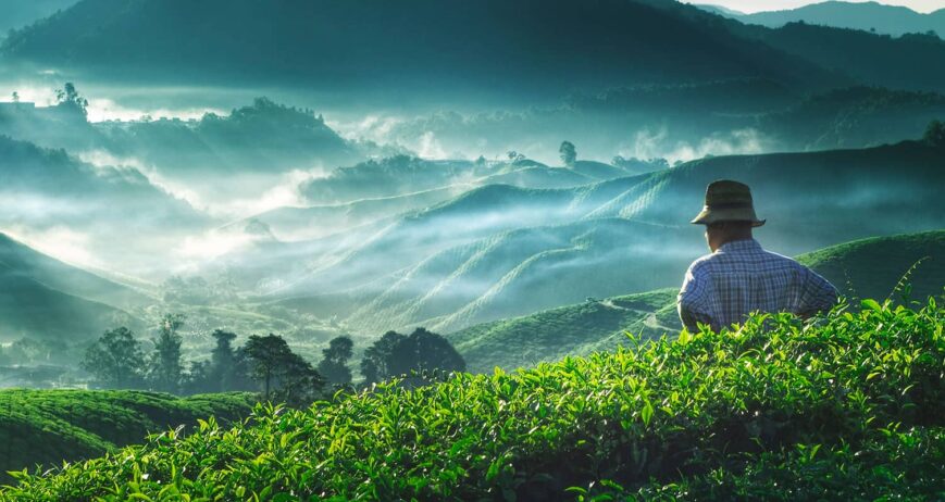Tecnologia e Profissionais Qualificados no Agro