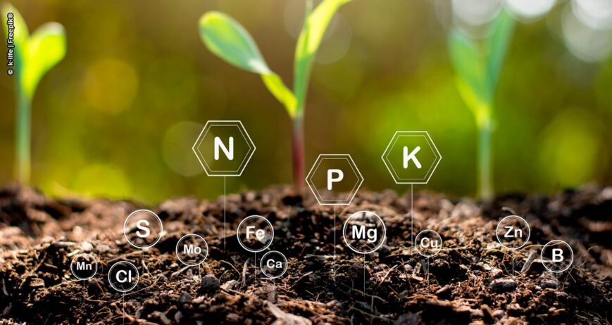 Fertilizantes especiais: um setor em constante avanço