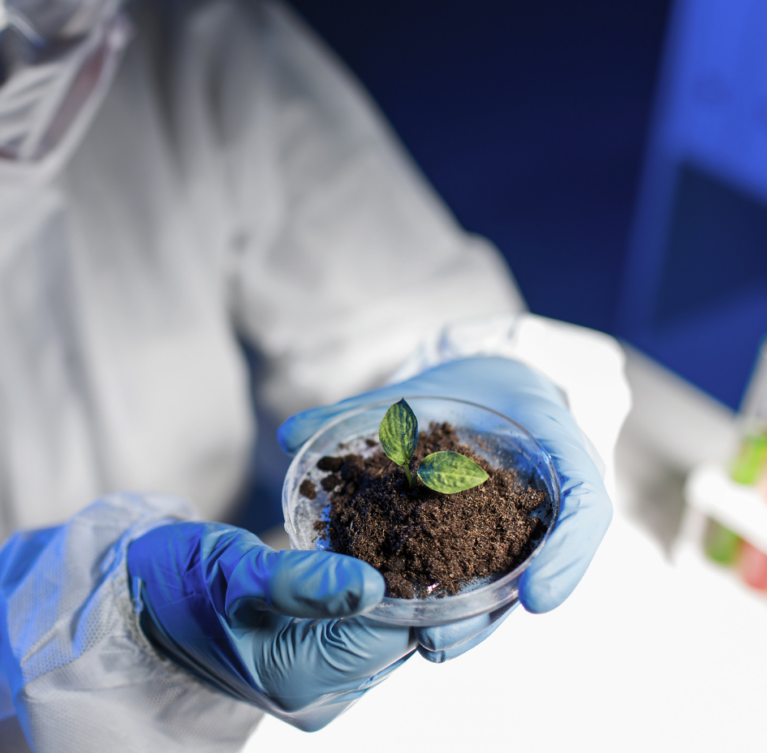 A importância do mapeamento genético (metagenômica) do solo para a agricultura.