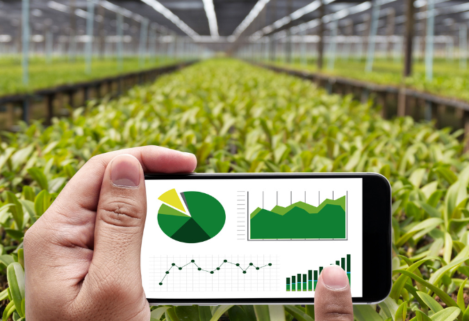 Conhecimento como estratégia de diferenciação das Revendas de Insumos Agrícolas.