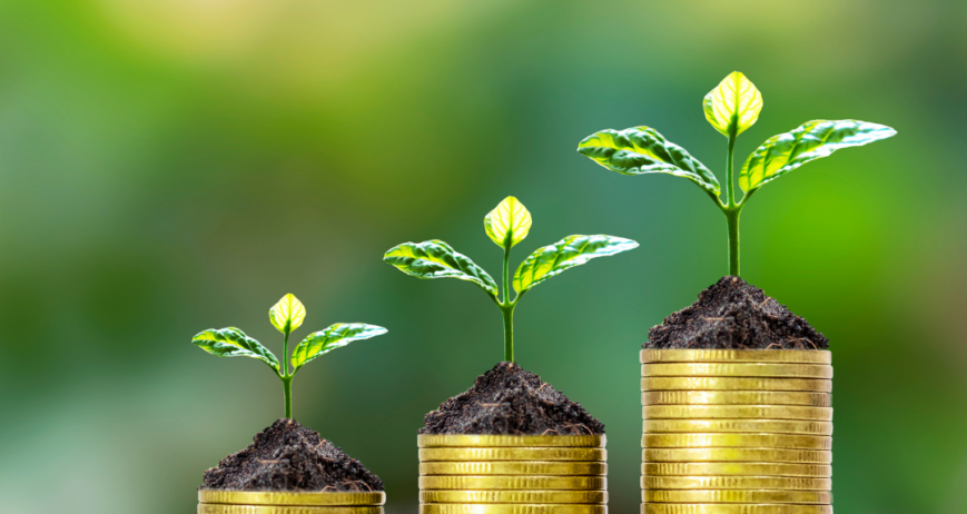 A importância do crédito para o setor agro em 2024
